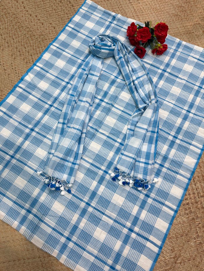 Elegant Pure Cotton Check Top & Dupatta Set